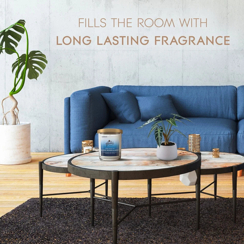 🕯️ Blonde Woods & Amber Candle – Long Burn Scented Jar Candle | Amber & Wood Fragrance, 85h Burn | Aromatherapy Home Décor Gift