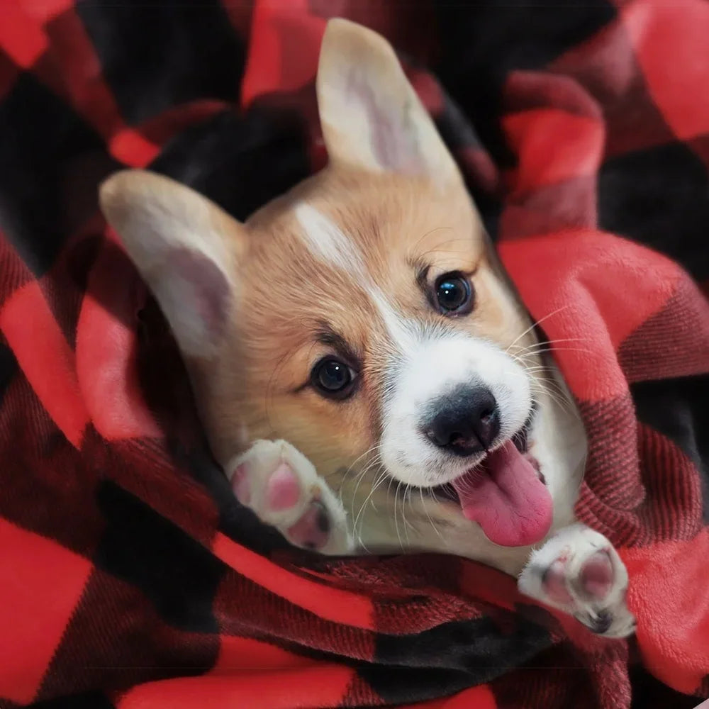 Plaid Soft Plush Fleece Blanket – Lightweight, Cozy & Stylish Comfort for Every Season
